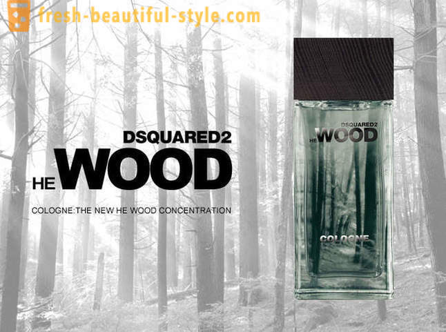 Dsquared Holz - Beschreibung Duftlinie und Marke