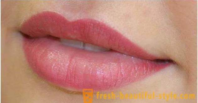 Permanent Make-up Lippen: Bewertungen, Beschreibung des Verfahrens, Fotos