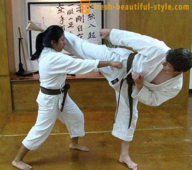 Japanische Kampfsportarten: die Beschreibung, Merkmale und interessante Fakten