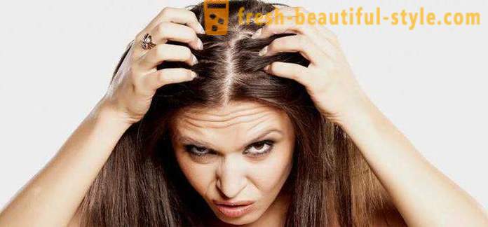 Warum schnell zhirneyut Haar? Mögliche Ursachen, Merkmale und Verfahren zur Behandlung