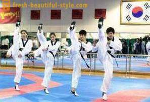 Was ist Taekwondo? Beschreibung und die Regeln der Kampfkunst