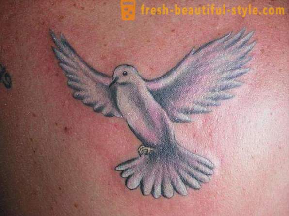 Tattoo „Taube“: Auswirkungen für die Jungen und Mädchen, die Geschichte und Empfehlungen