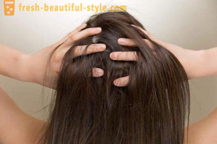 Wie man am besten die Haare färben: auf schmutzigen oder sauberen Haaren? Wie Sie Ihre Haare färben färben
