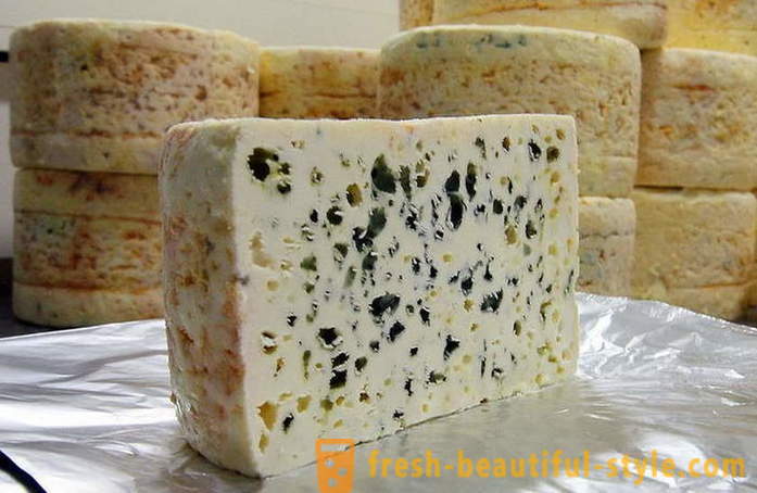 Der Herstellungsprozess von Französisch Roquefort-Käse aus alten Rezepten