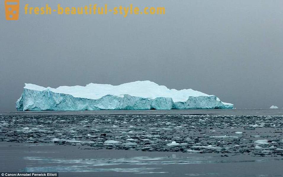 Camye der alten Eisbergen der Welt
