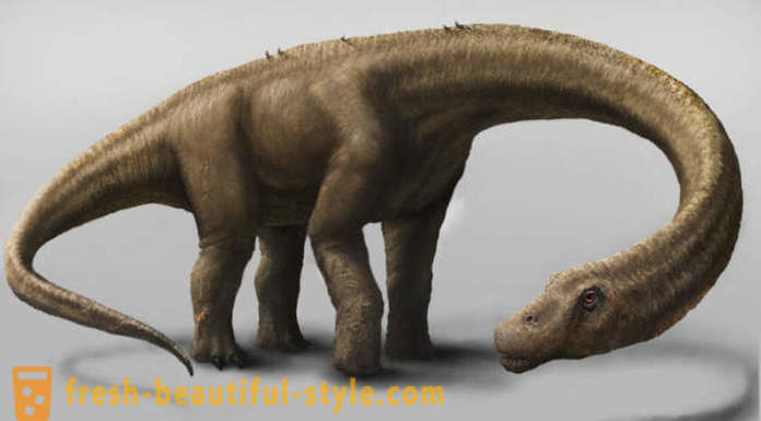 Einzigartige Funde mit Dinosauriern assoziiert
