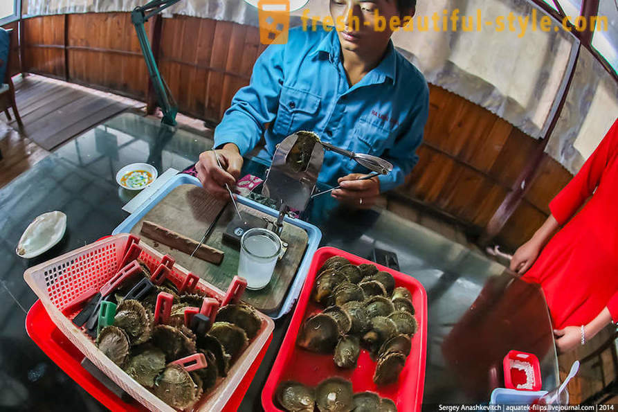 Wie in Extrakt Perlen Vietnam