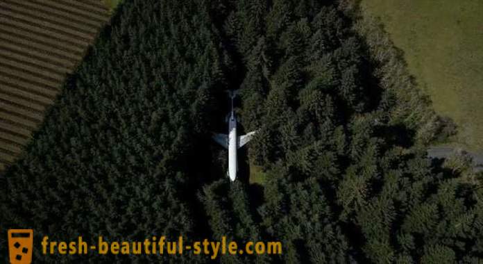Amerikaner, 15 Jahre Leben in einem Flugzeug in der Mitte des Waldes