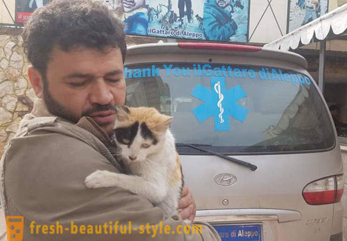 Der Mann in dem vom Krieg zerrütteten Aleppo blieb zu kümmern ausgesetzte Tiere