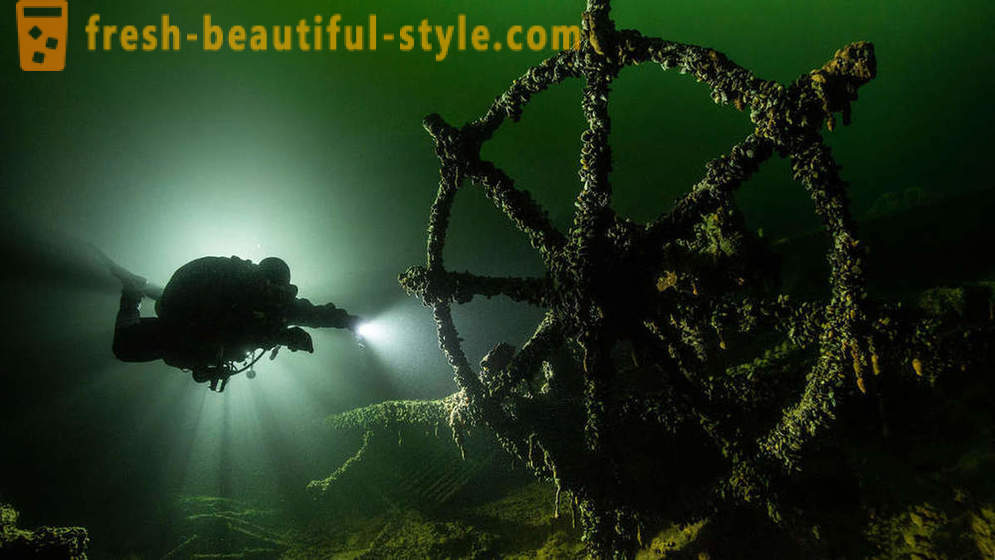 Unglaubliche Aufnahmen von Unterwasserfotowettbewerb Gewinner