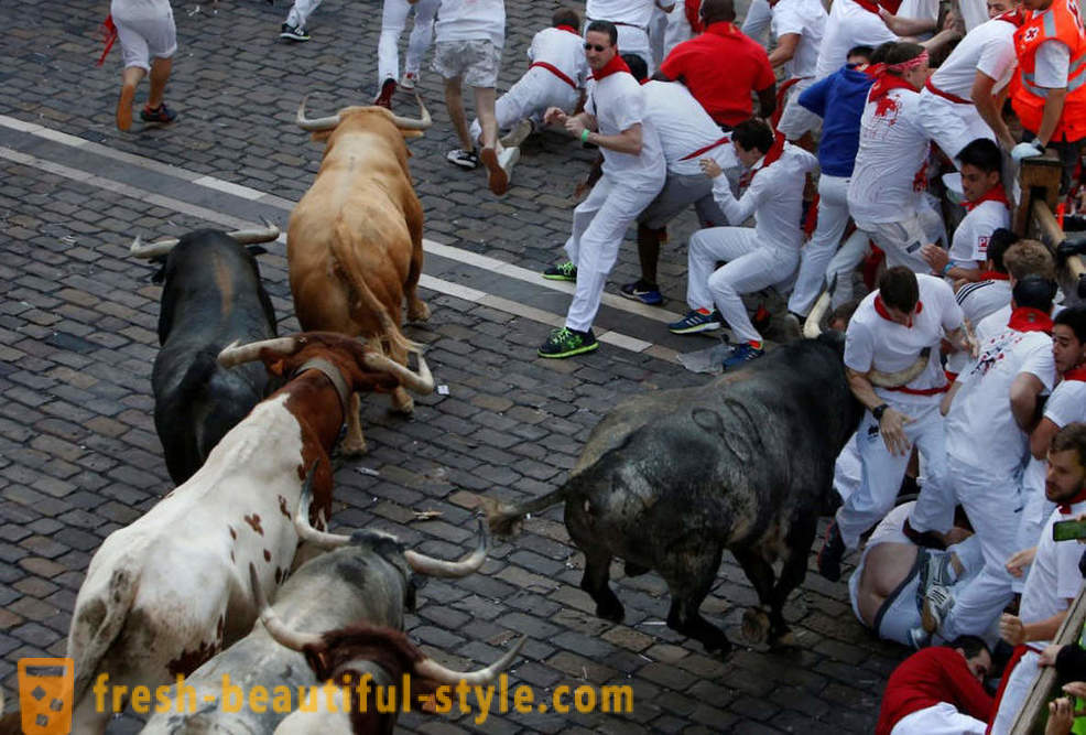 Wie war der jährliche Lauf des Stiers in Pamplona, ​​Spanien