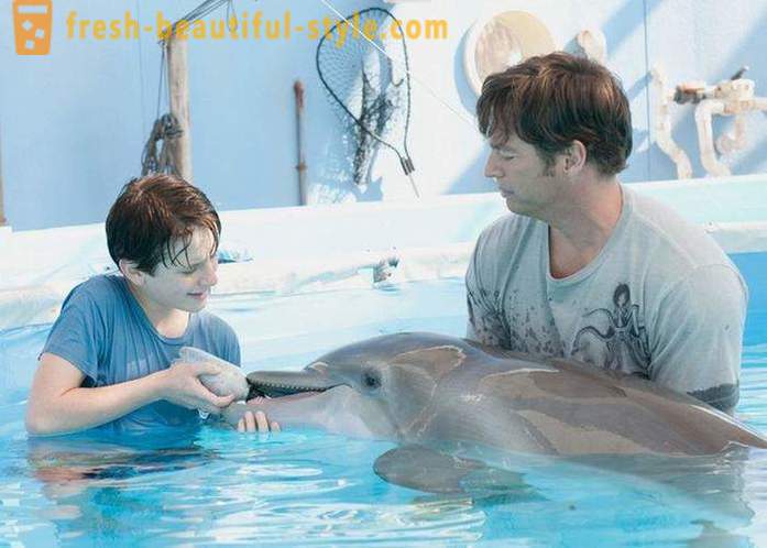 Eine Auswahl von Filmen über Delfine