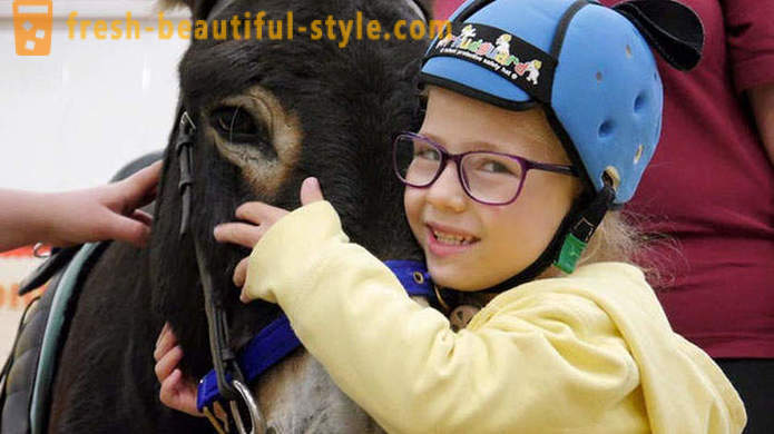 Tiertherapie: ein stummes Mädchen begann durch einen Esel zu sprechen