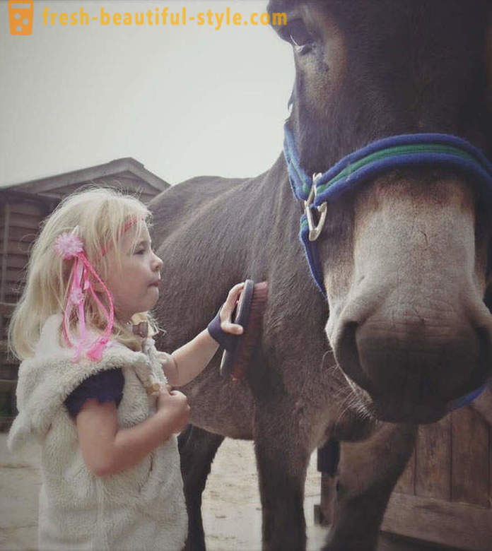 Tiertherapie: ein stummes Mädchen begann durch einen Esel zu sprechen