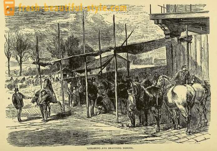 Die Bewohner lebten von Paris während der Belagerung der Stadt