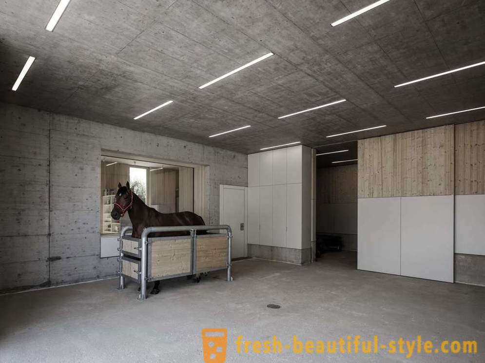 Design der Tierklinik für Pferde in Österreich