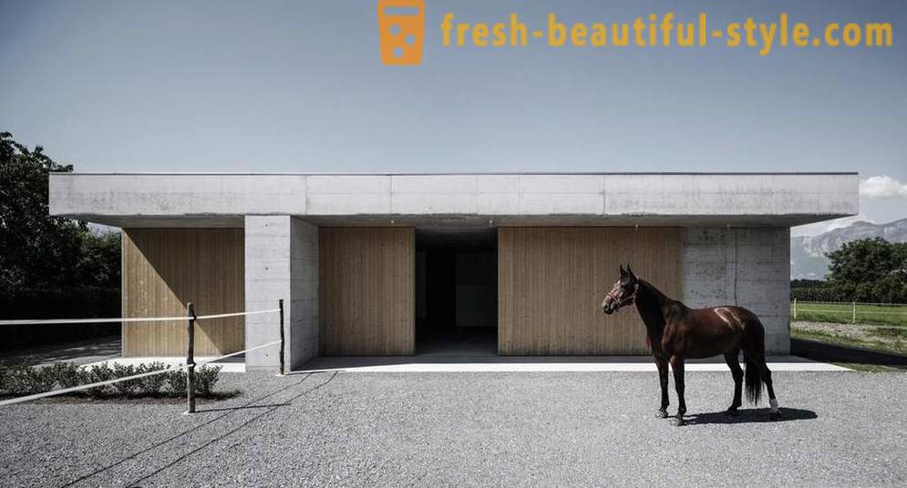Design der Tierklinik für Pferde in Österreich