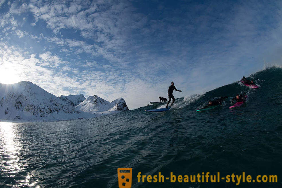 Extreme Arctic Surfer