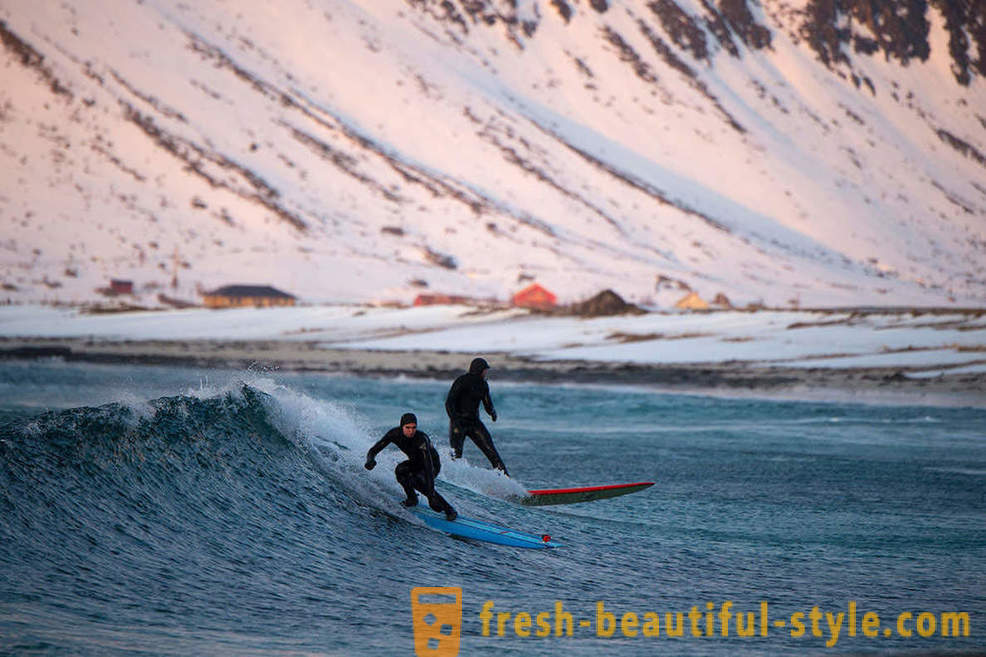 Extreme Arctic Surfer