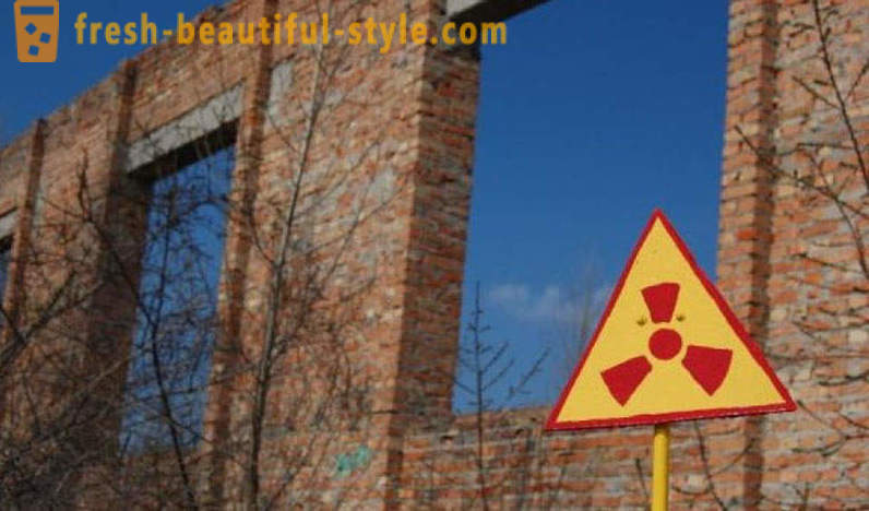 Kernkorb: was in Tschernobyl wächst