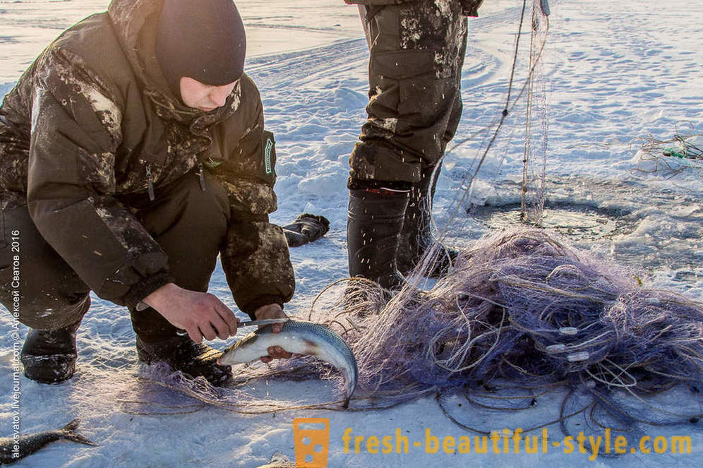 Wie rybinspektory auf Baikal