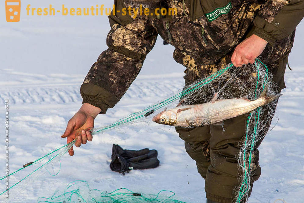 Wie rybinspektory auf Baikal