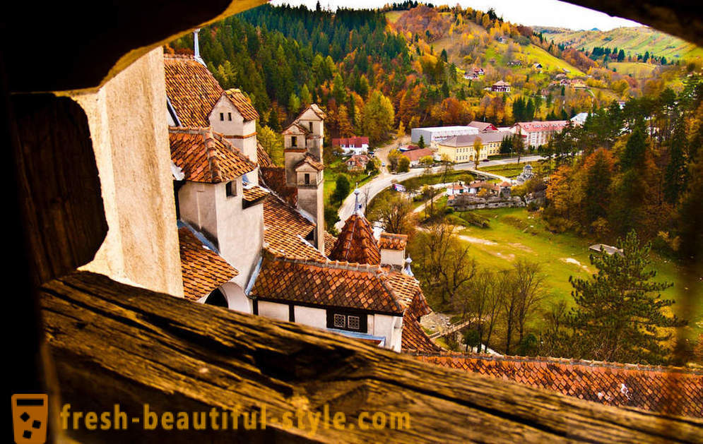 Schloss Dracula: Transylvania Visitenkarte