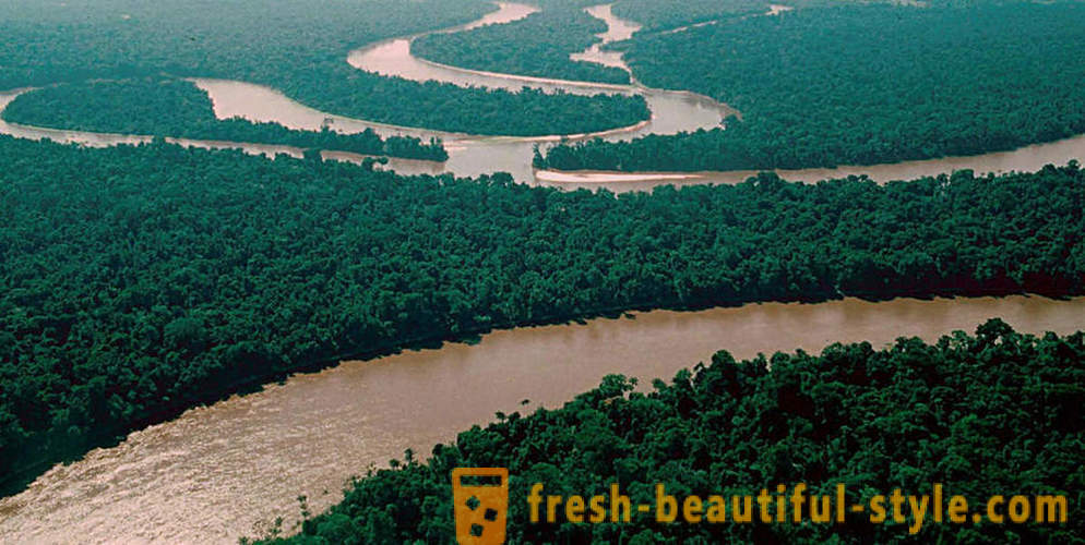 Amazon - Naturwunder der Welt