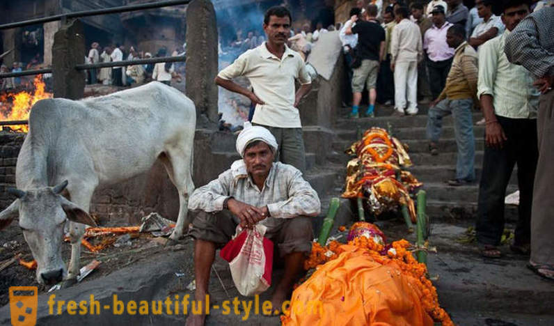 The Untouchables: Die Geschichte der niedrigsten Kaste in Indien