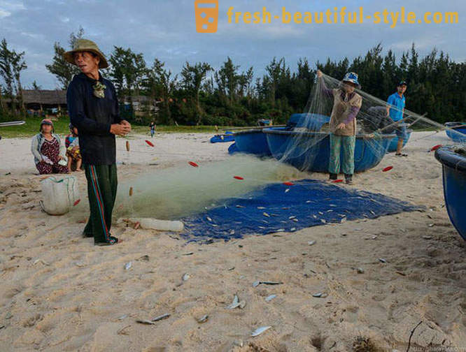 Wie ist vietnamesischer Fischer