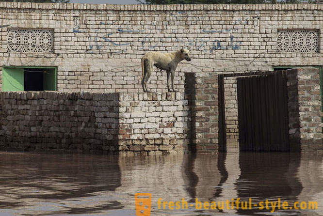 Historische Überschwemmungen in Indien und Pakistan