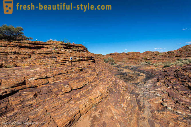 Gehen Sie durch den Kings Canyon in Australien