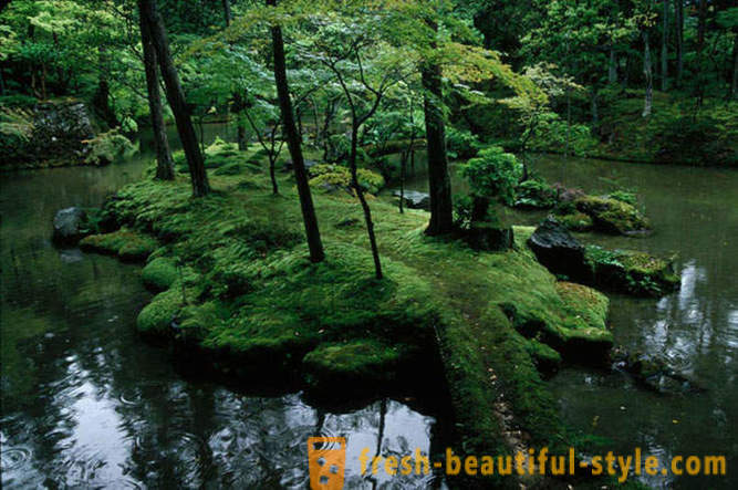 Moss Gärten in Japan
