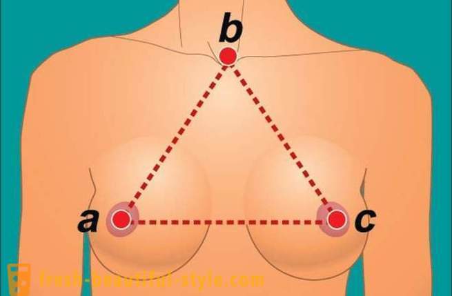 Leitfaden für die weibliche Brust