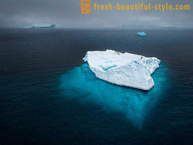 Die besten Bilder aus der 2012 National Geographic