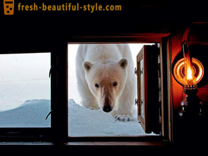 Die besten Bilder aus der 2012 National Geographic