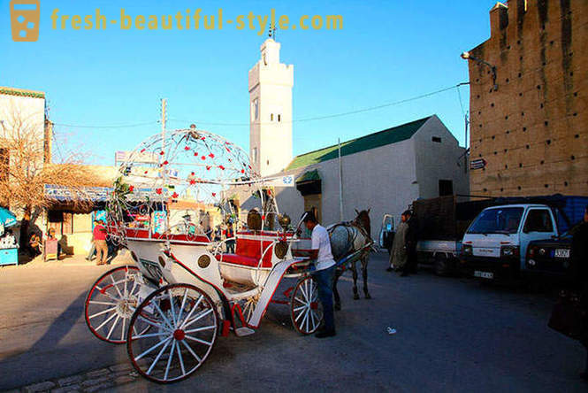 Fez - die älteste der Königsstädte Marokkos