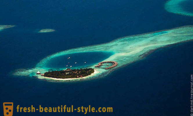 Fliegen über den Malediven mit dem Wasserflugzeug