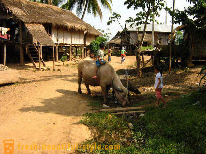 GeoFresher - Wie in Laos leben