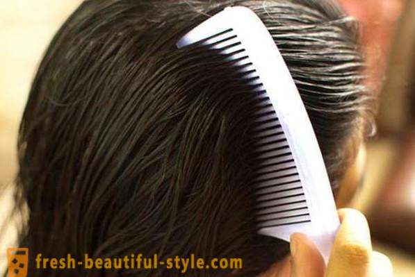 Kamm Haarstyling Haartrockner: Tipps für die Auswahl
