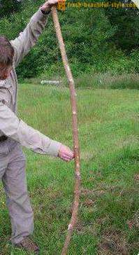 Ob Jagd legal mit einem Bogen in Russland?