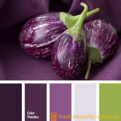 Zu welche farbe kleidung passt aubergine Farbkombinationen: Welche