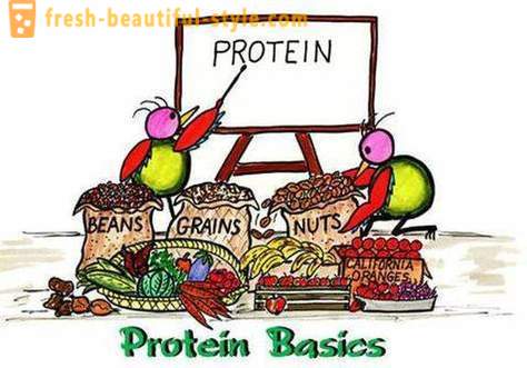 Was sind Proteine? Wer und wie Protein nehmen
