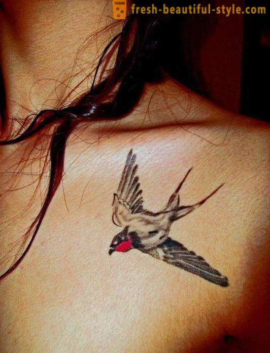 Tattoo „Schwalbe auf dem Hals“ - das Geheimnis des Idealbildes