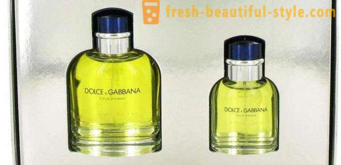 Spezielle Toilettenwasser „Dolce Gabbana“: die Geschichte und Aromen