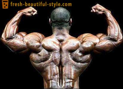 Wie die Muskeln der Rücken, Brust und Arme stärken